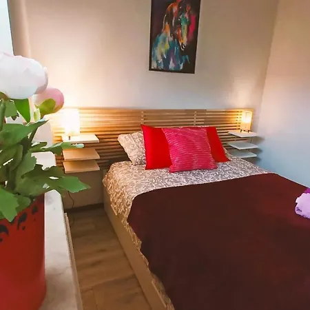 Apartament Wisniowy Krakowskie Przedmiescie 26 Lublin Exterior foto